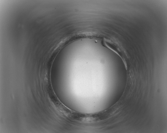 X0000079580212200612152114