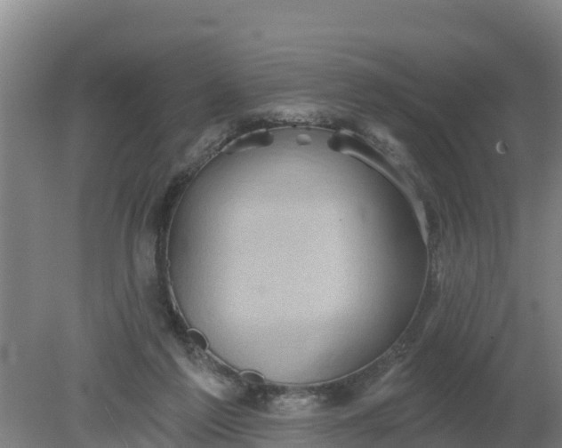 X0000079580213200612152114