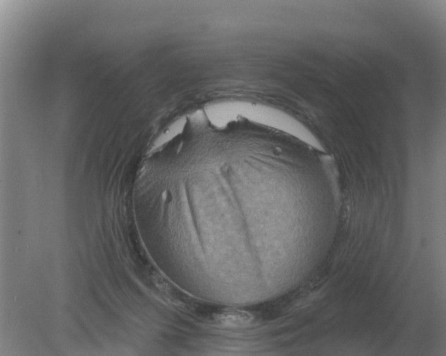 X0000079580215200612152114