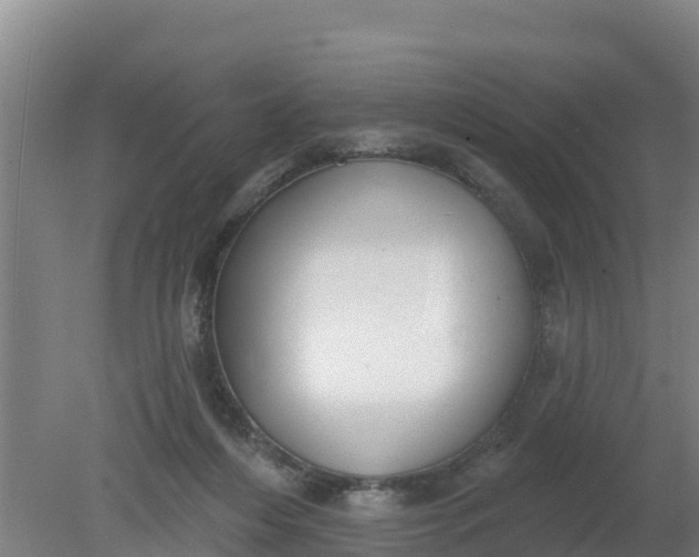 X0000079580216200612152114