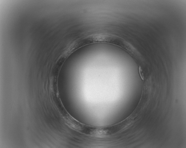 X0000079580217200612152114