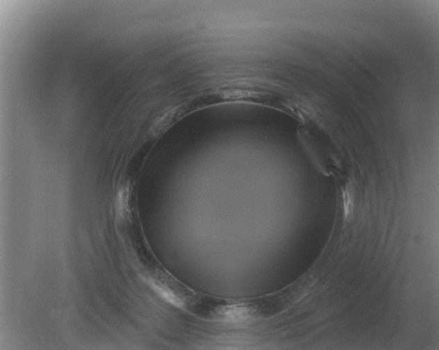 X0000079580219200612152114