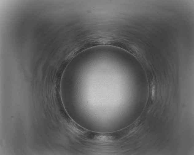 X0000079580221200612152114