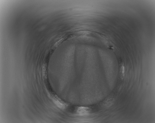 X0000079580222200612152114