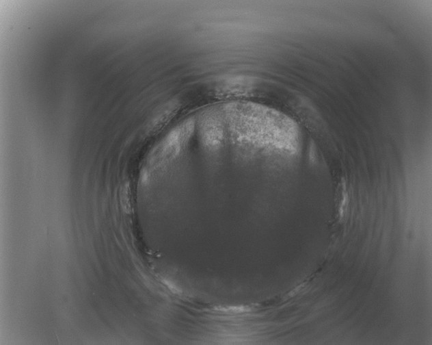 X0000079580224200612152114