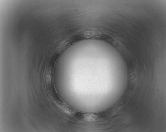 X0000079580226200612152114