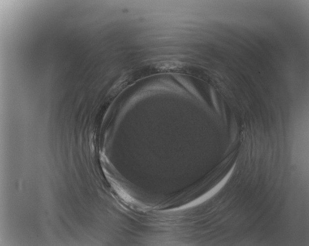 X0000079580227200612152114