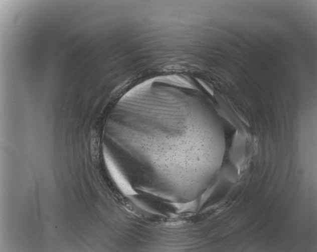 X0000079580228200612152114