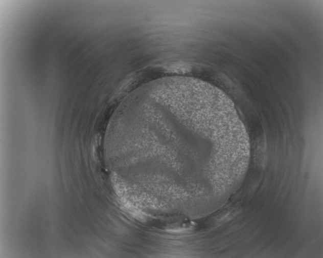 X0000079580229200612152114