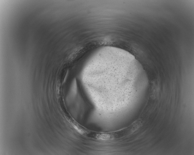 X0000079580230200612152114