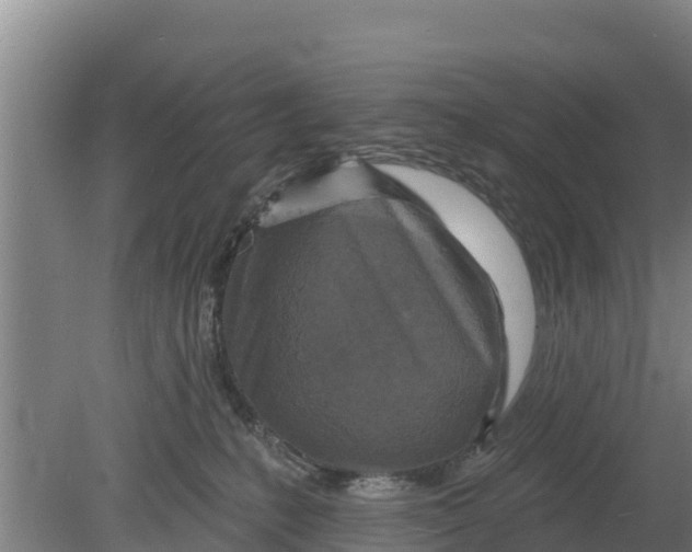 X0000079580231200612152114