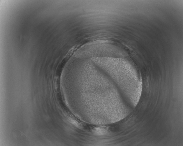 X0000079580232200612152114