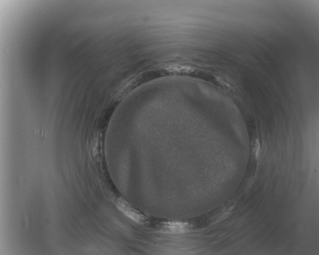 X0000079580233200612152114