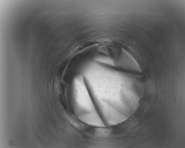 X0000079580234200612152114