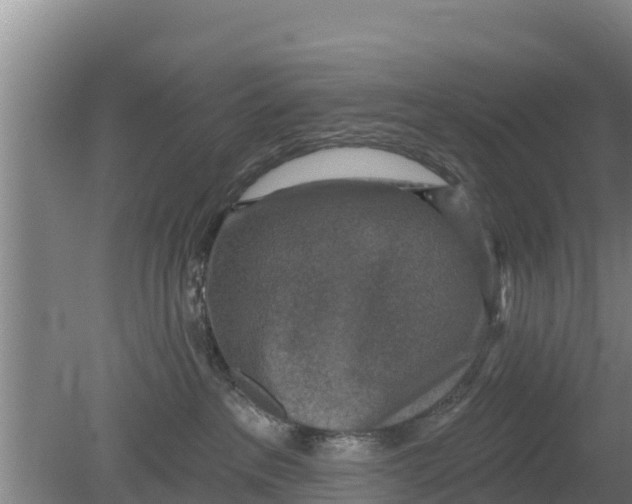 X0000079580237200612152114