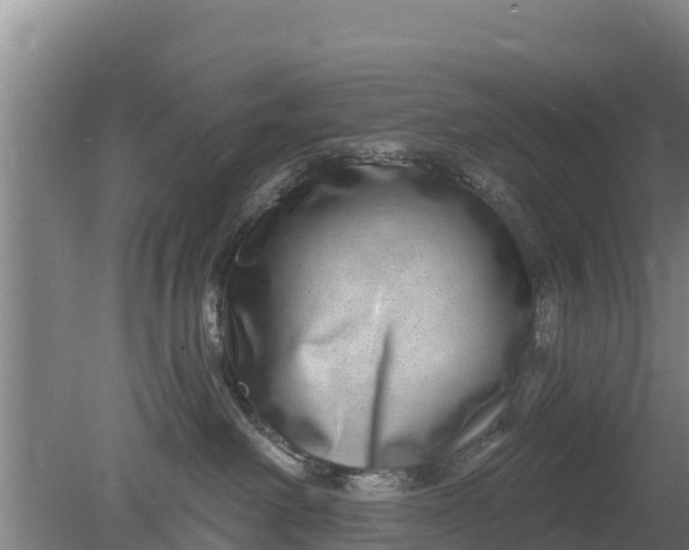 X0000079580238200612152114