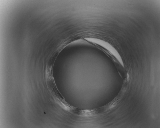 X0000079580239200612152114