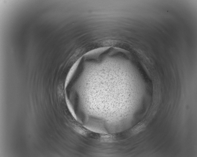 X0000079580240200612152114