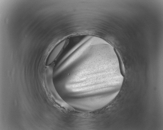 X0000079580241200612152113