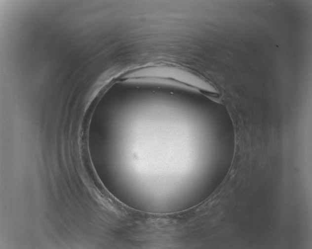 X0000079580242200612152113