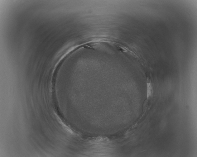 X0000079580243200612152113