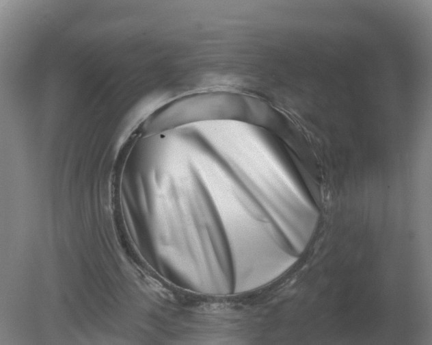 X0000079580244200612152113