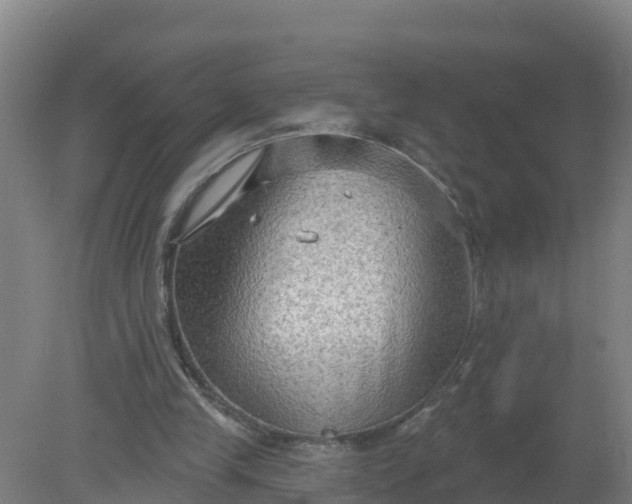 X0000079580245200612152113