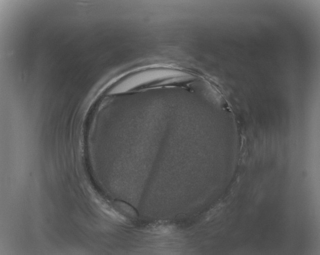 X0000079580247200612152113