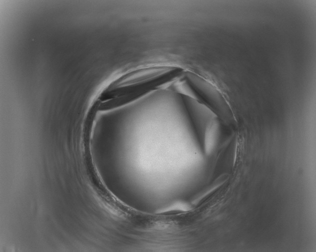 X0000079580248200612152113