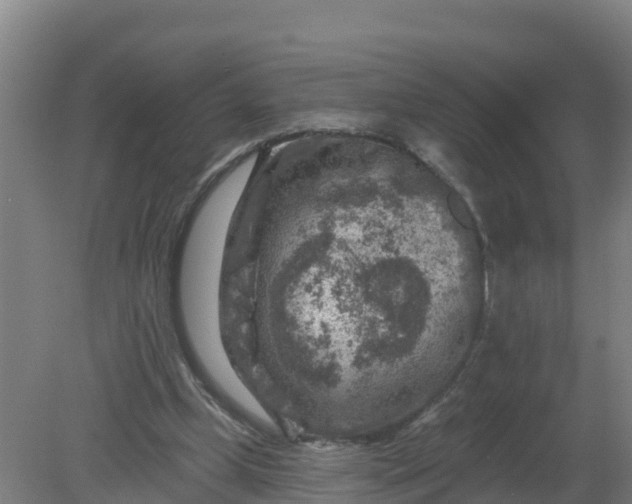 X0000079580249200612152113