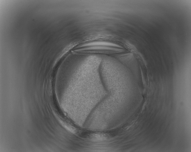 X0000079580250200612152113