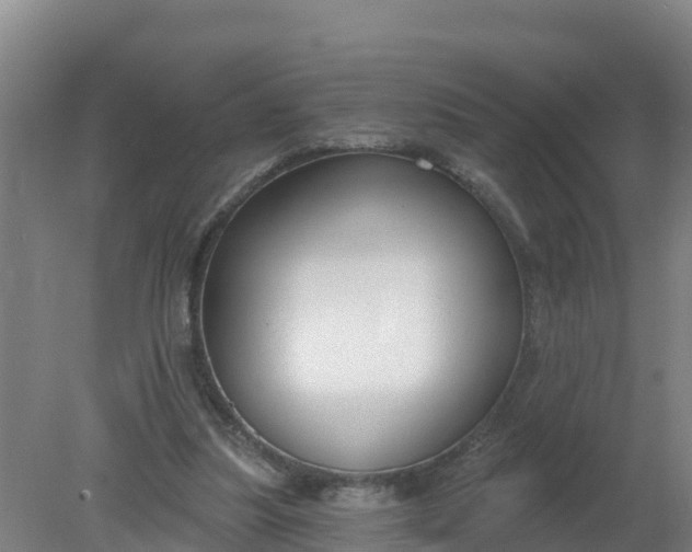 X0000079580251200612152113