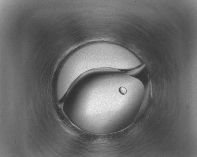 X0000079580252200612152113