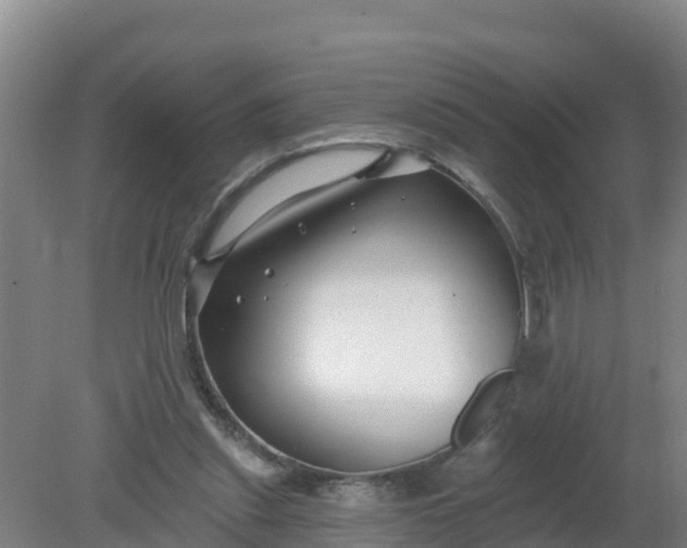 X0000079580253200612152113