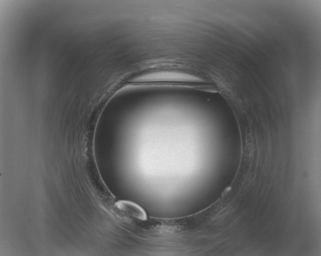 X0000079580255200612152113