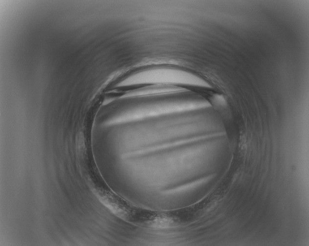 X0000079580256200612152113