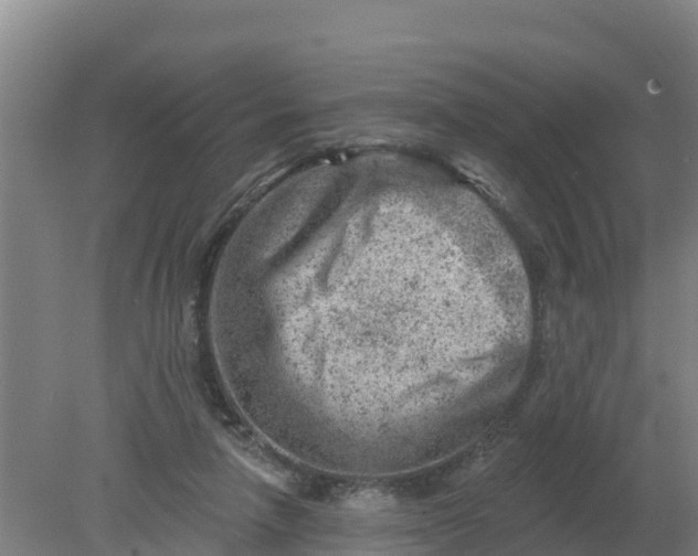 X0000079580258200612152113