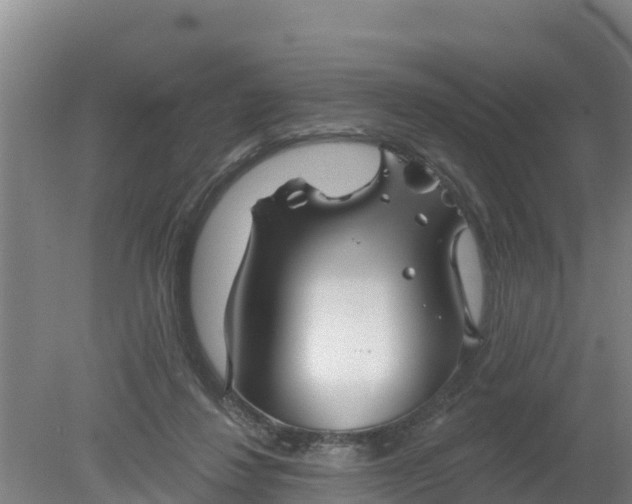 X0000079580260200612152113