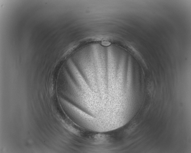 X0000079580261200612152113