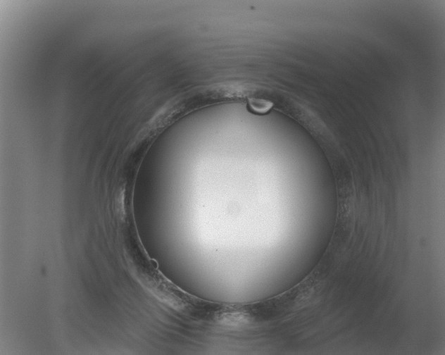 X0000079580262200612152113