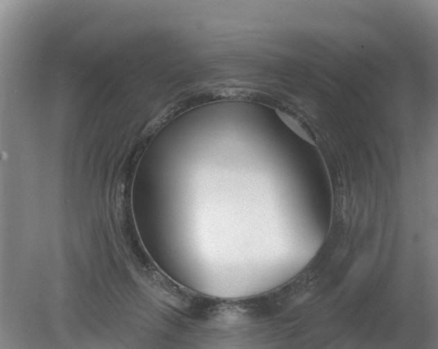 X0000079580263200612152113