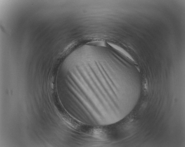 X0000079580264200612152113