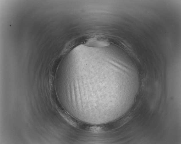 X0000079580265200612152113