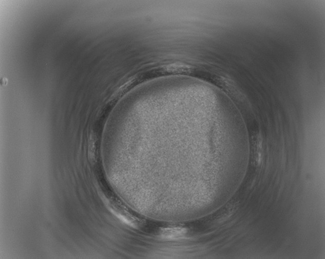 X0000079580266200612152113