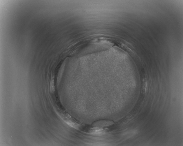 X0000079580267200612152113