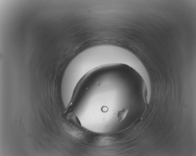 X0000079580268200612152113