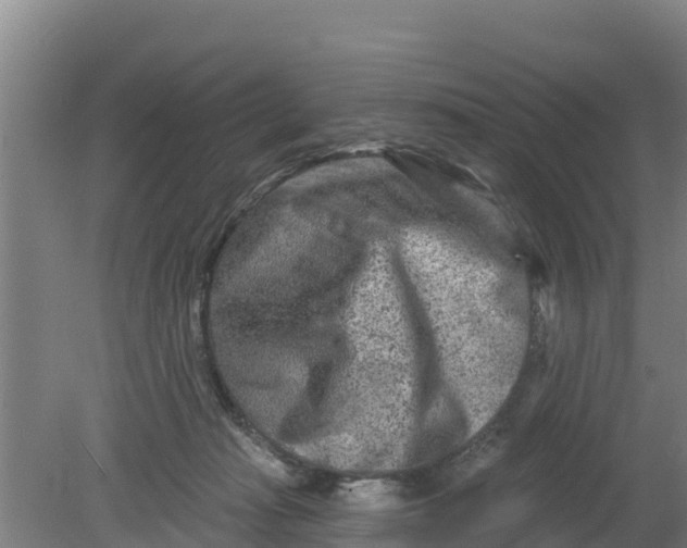 X0000079580269200612152113