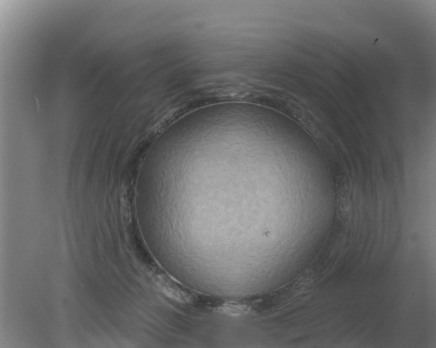 X0000079580270200612152113