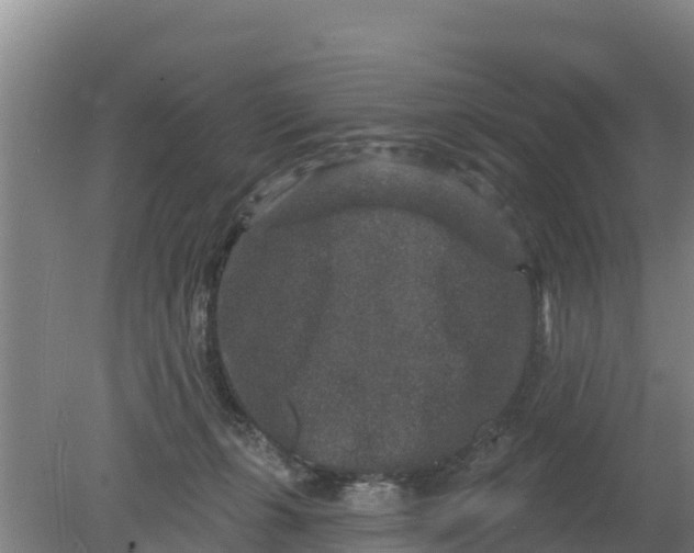 X0000079580271200612152113