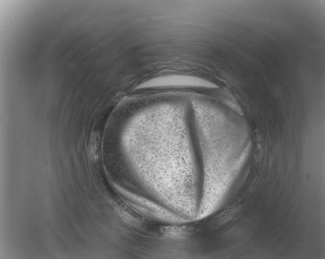 X0000079580273200612152114